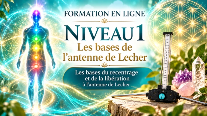 Apprenez à utiliser l'antenne de Lecher en ligne Apprendre à manier l'antenne de Lecher en ligne