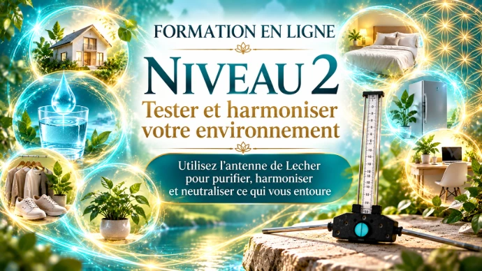 Tester, harmoniser et nettoyer ce qui vous entoure : eau, objets, vêtements, lieux et environnement. Tester, harmoniser et nettoyer ce qui vous entoure : eau, objets, vêtements, lieux et environnement.