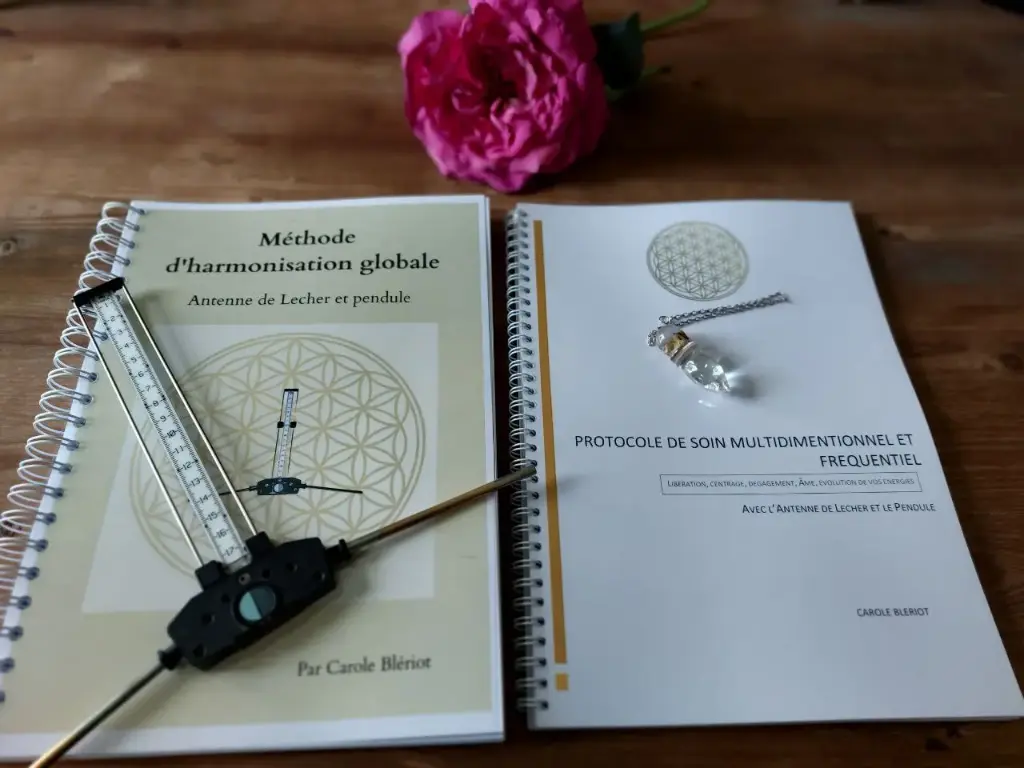 Formation Antenne de Lecher et pendule : Méthode de libération profonde