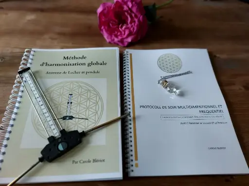 Formation Antenne de Lecher et pendule : Méthode de libération profonde